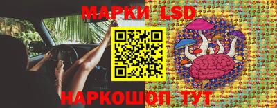 гашик Дубна