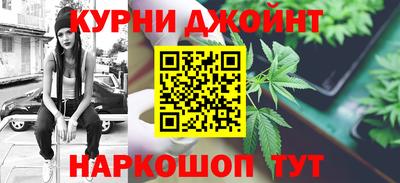 гашик Дубна