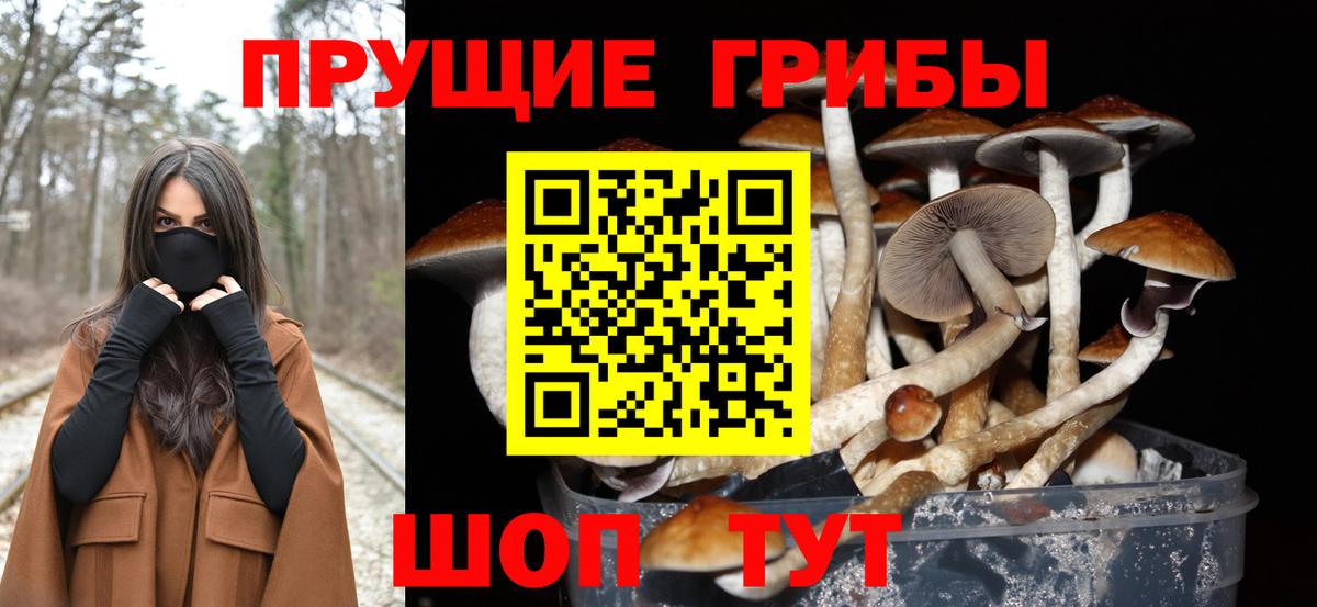 Галлюциногенные грибы прущие грибы  Вход с VPN  даркнет сайт  Лянтор  Псилоцибиновые грибы мицелий 